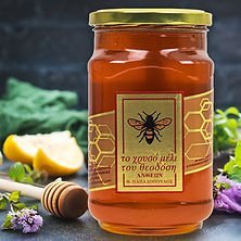 Το Χρυσό Μέλι του Θεοδόση Ανθέων 500γρ